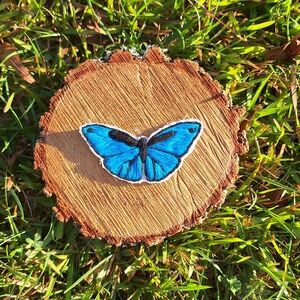 Turquoise butterfly patch🦋